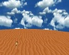 desert drive test