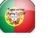 Tuga voices - FVT