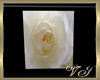 white rose poster