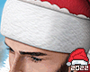 Santa 2022 Hat