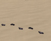 ~TQ~footprints 