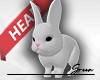 🐇 Rabbit F [H]
