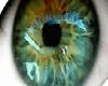 [RQM1] Eyes