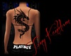 tatoo dragon black/dos