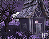 Spellcaster Witch Forest