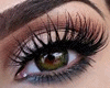 *LH* Long Eye Lasches