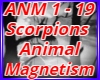 Animal Magnetism Scorpio
