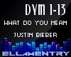 What Do U Mean-J Bieber