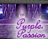 Purple Passion Cuddle