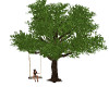 romantic tree swing