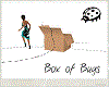 Box of Bugs