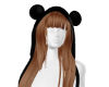 Diam -Gingersnap