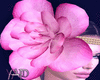 Rose Head Pink