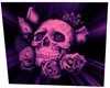 photo background