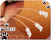[Pets] Ginga | whiskers