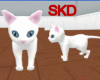 (SK)White Kitten
