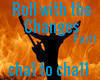 Roll with the changes