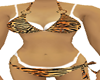 bikini tiger