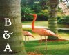 [BA] Standing Flamingo