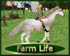 [my]Farm Horse Ride