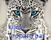 snow leopard bar/club