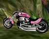 The Pink Dragon Harley