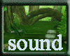 sound-jungle
