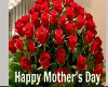 *114 Roses for Mom