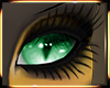 Roth Eyes V.1