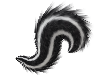 Kids Skunk Tail