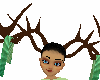 adam tree antlers