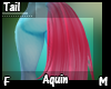 Aquin Tail