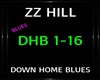 ZZ Hill ~ Down Home Blue