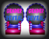 Gender Reveal Throne
