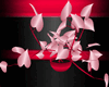 Cupids Crush Plant