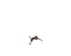 floating jamaican