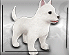 E_ White Puppy