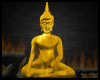Thai Buddha Gold [Derv]