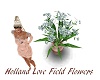 HollandLove Field Flower
