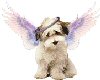 Puppy angel