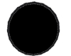 black fringed oval rug