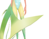 Harua tail v3