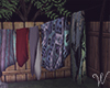 Backyard Clothesline