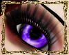 [Ace] Purple Eyes