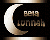 lunah dress-brz