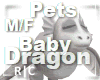 R|C Baby Dragon Grey MF