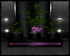 Black/Purple Plant trio