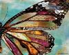 Monarch Butterflies