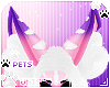[Pets] Kes | ears v2