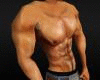 (VH) Bodybuilder Muscle